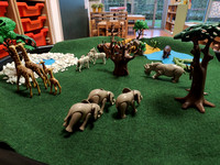 K3A thema dieren